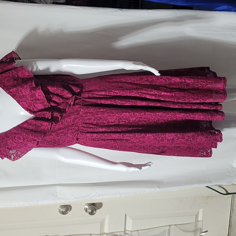 Torrid 2xl Berry red lace ruffled neck skater dress